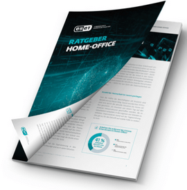 Whitepaper Home Office